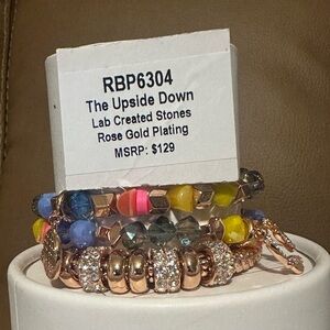 RBP6304 The Upside Down